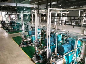 惠州影響力早報(bào) 新浪專題